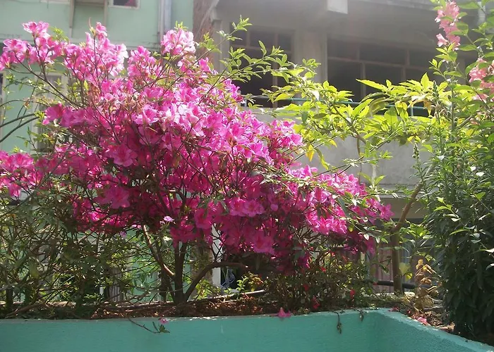 Impala Garden Kathmandu