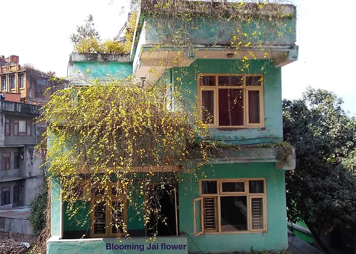 Hotel Impala Garden 2*
