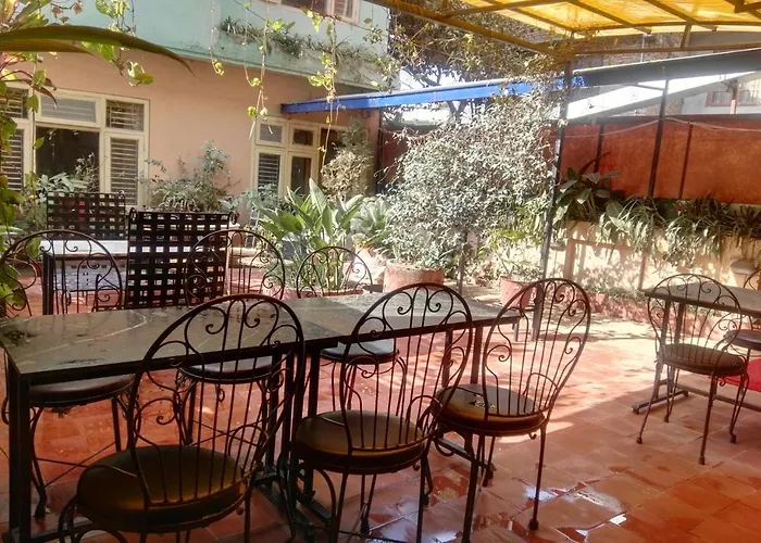 Impala Garden